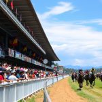 agen judi balap kuda resmi